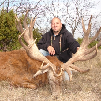 380"+ SCI Red Stag